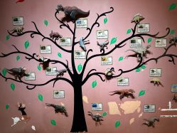 -酷嗒动物文化乐园(cutezoo西溪乐天城店)