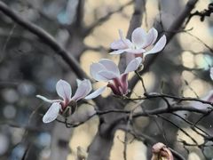 -木塔寺遗址生态公园