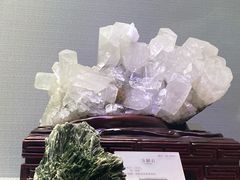 -湖南省地质博物馆