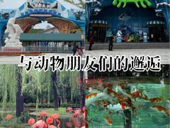 -石家庄市动物园