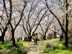 -苏州上方山国家森林公园