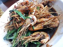 -老头儿油爆虾(星光一期店)