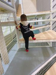 -宝燕乐园(闵行旗舰店)