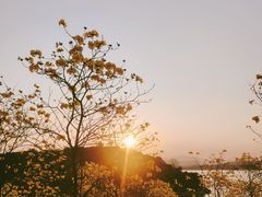 -松山湖风景区松湖烟雨