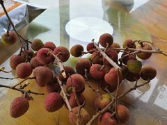 -渔闻农家菜