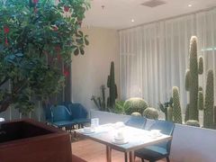 -悦海·家宴·冰花皮皮虾大锅贴(宝龙店)