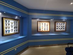 -上海昆虫博物馆