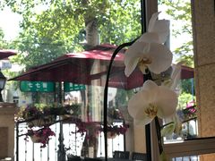 -南山鲜虾面·活鲜小馆·海味大连菜(南山总店)