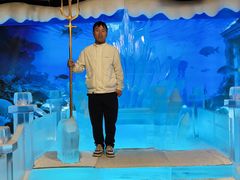 -海合安武汉极地海洋公园