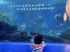 -重庆欢乐海底世界