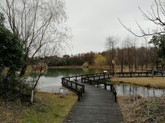 -梁鸿国家湿地公园