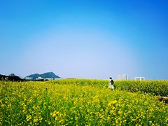 -光明小镇欢乐田园
