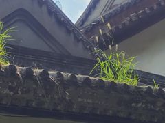 -团结湖公园