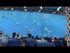 -瑞德姆美人鱼海底演艺主题餐厅(亚龙湾店)