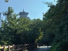 -杭州半山国家森林公园