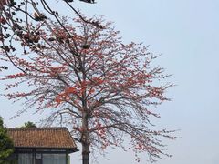 -喜洲吧·江畔老船厂·庭院餐厅(喜临院店)