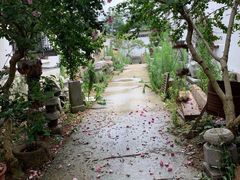 -雨花胜境