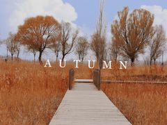 -野鸭湖国家湿地公园