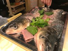 -香坝坝鲜鱼火锅(春熙路店)