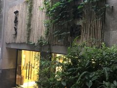 -柴务处·柴犬主题狗咖