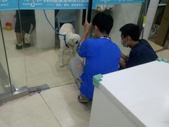 -萌兽医馆·宠物医院·猫骨科(创景店)
