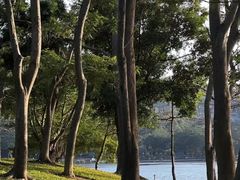 -顺峰山公园