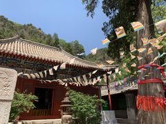 -北京上方山国家森林公园
