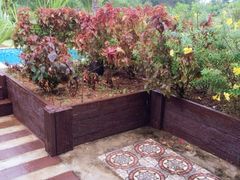 椰树岛海滩度假村-椰树岛海滩度假村