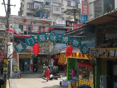 -猫咪博物馆(顶澳仔猫街店)