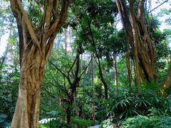 -深圳国际园林花卉博览园