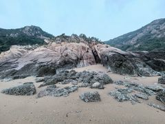 -北岐滩涂