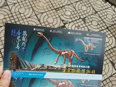 -自贡恐龙博物馆