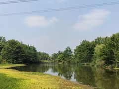 -桤木河湿地公园