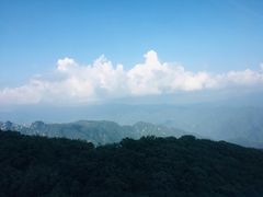 -牛背梁国家森林公园