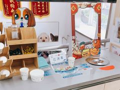 -爱侣宠医·鹦鹉专科·小型哺乳类·异宠专科(灵石路店)