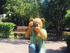 -济州岛泰迪熊博物馆