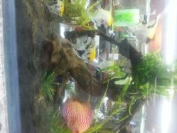 android_upload_pic-小左美发