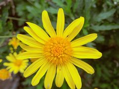 -重庆中央公园(渝北区)