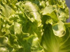 -九田家黑牛烤肉料理(东津民发世纪广场店)