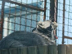 -青藏高原野生动物园