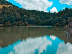 -广州白江湖森林公园