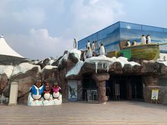 -海合安成都极地海洋公园