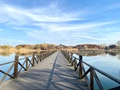 -溱湖国家湿地公园