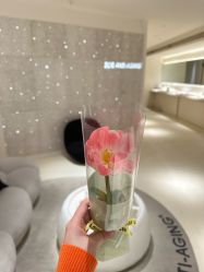 -紫御国际抗衰ZOE ANTI AGING