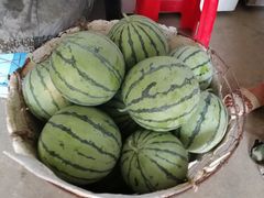 -胜丰草莓采摘园