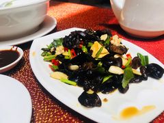 野木耳拌桃仁-云和祥食府·特色云南菜(金碧公园店)