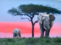 -罗红摄影艺术馆