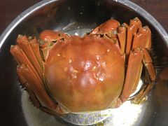 -七的湖·晚芳亭·阳澄湖农家菜·大闸蟹(莲花岛店)