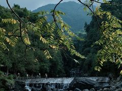 -石台牯牛降景区