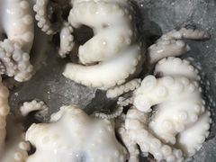 -铭聚章鱼土笋冻(松柏店)